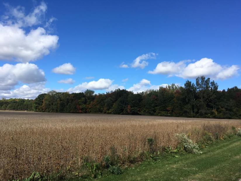 14595726_10101864820771406_8607396367227237477_n